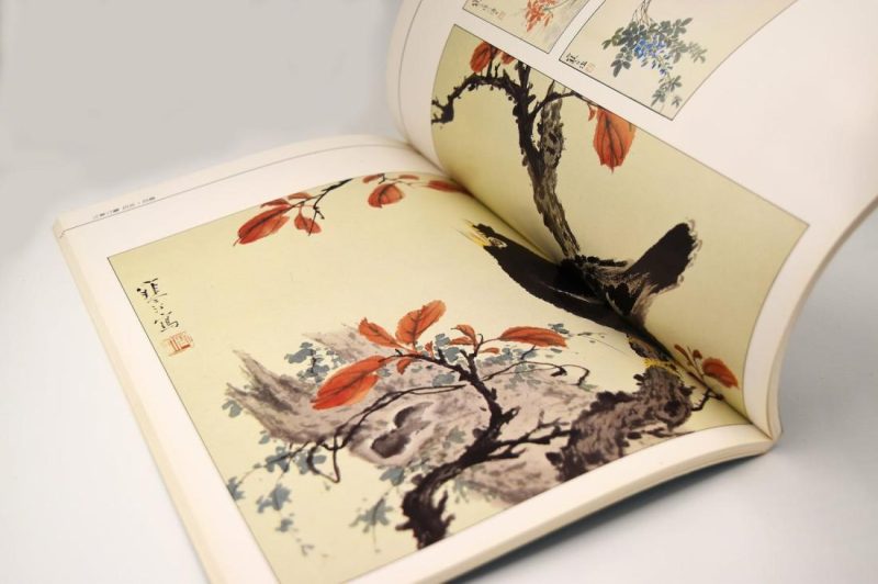 Books | 100 Flowers & Birds Books Books