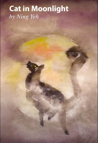 Lessons | Black Cat in Moonlight by Ning Yeh Lessons Lessons