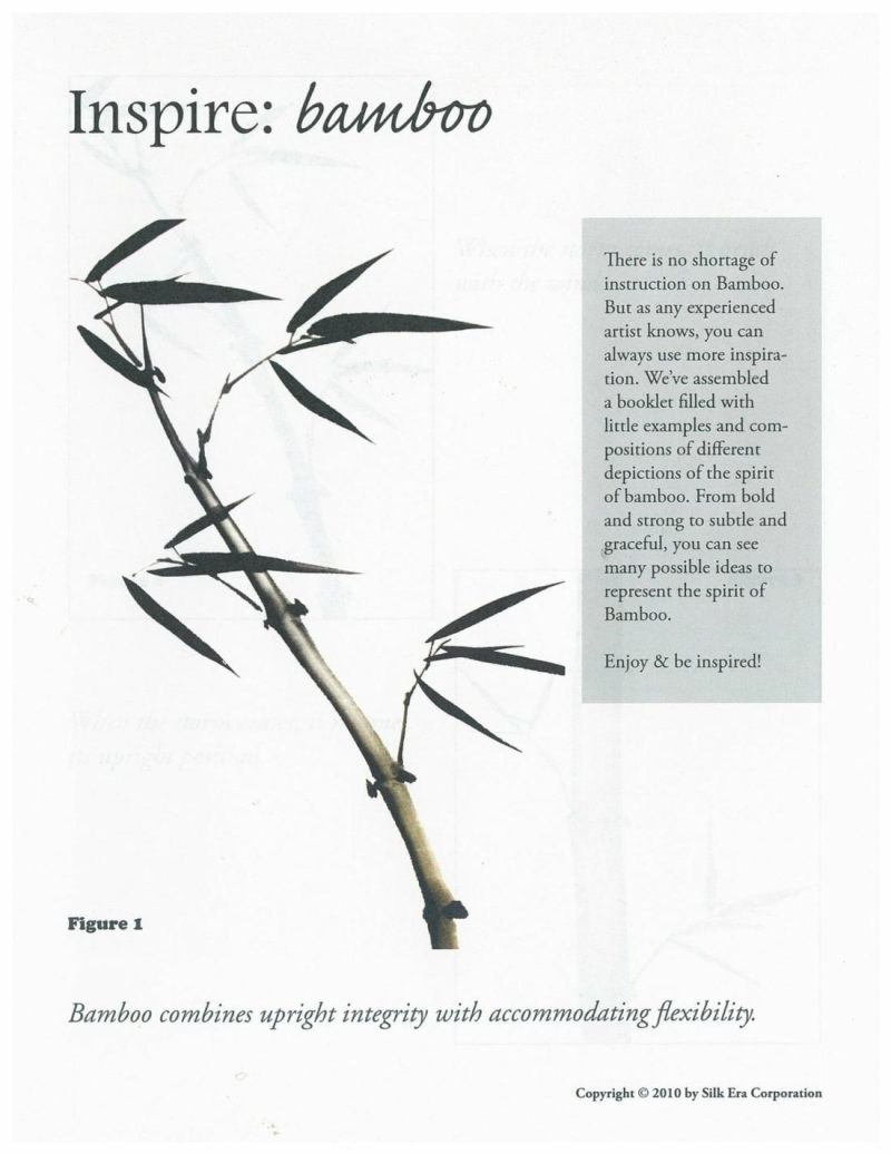 Lessons | Inspire Bamboo Booklet Lessons Lessons