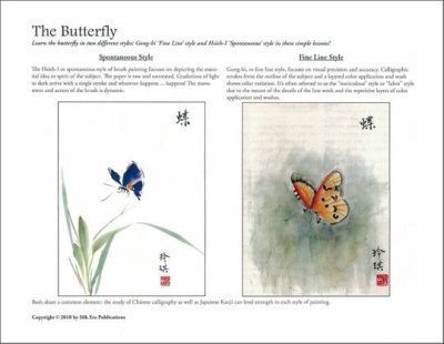 Lessons | The Butterfly Lessons Lessons