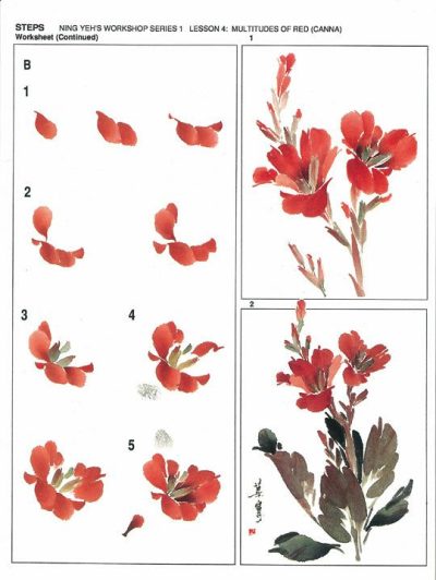 Lessons | Workshop Series Instructional Booklets by Ning Yeh: Canna Lessons Lessons