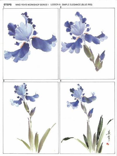 Lessons | Workshop Series Instructional Booklets by Ning Yeh: Iris Lessons Lessons