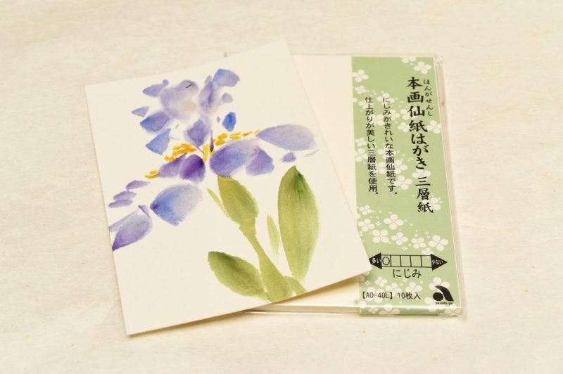 Paper | ETEGAMI Gasenshi Postcards Oriental Art Supplies Paper